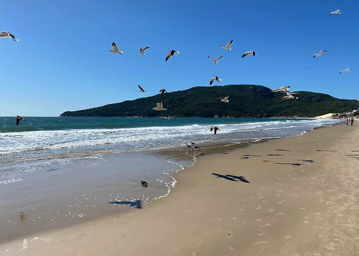 & Pousada FavaretoHotel Florianopolis